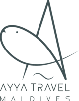 Ayya Travel